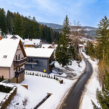 Wonder Home - Villa Vika Z Ogrodem, Z Miejscem Na Grilla I Ognisko Karpacz Exterior photo